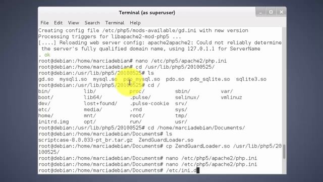 Scriptcase 8 - Instalação Manual (Servidor Linux - Debian) смотреть онлайн
