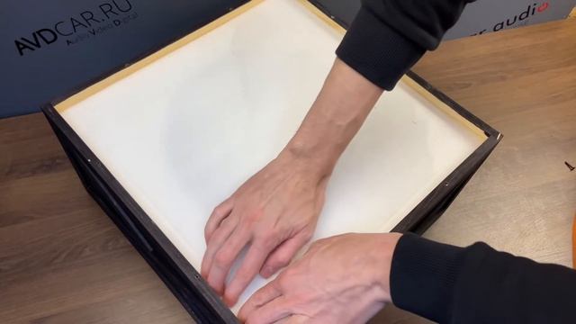 Сабвуферный  динамик DLS Nordica 12i