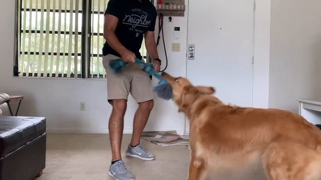 Do This Every Day For A Calm Golden Retriever смотреть онлайн