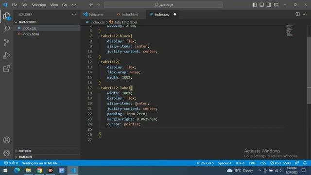 Tabs By Only Using Html css || tabs using Html Css смотреть онлайн