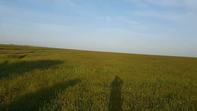 Путешествие к озеру Эльтон, когда небо сливается с землей смотреть онлайн