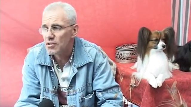 Солигорск. СТК. Выставка собак