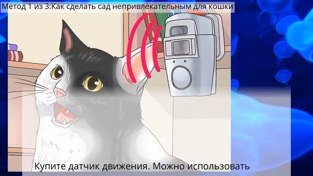 Как отучить кота какать и писать в саду смотреть онлайн