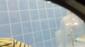 обзор стиральной машины bosch logixx 7 sentive