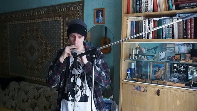 Andrey Sergeevtsev - Туман (Сектор Газа kazoo cover) смотреть онлайн