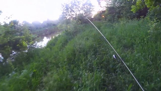 Приехал на ПЕРЕКАТ на ЗОРЬКУ за голавлём, но не каждый день ловить трофеев. Рыбалка на спиннинг 202 смотреть онлайн