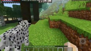 Equestrian Minecraft | День на конюшне | askasplay