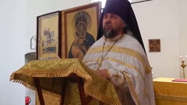 Метаморфоза смотреть онлайн