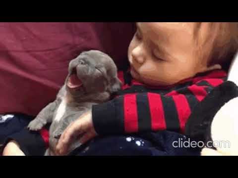 волшебная карета - НК смотреть онлайн