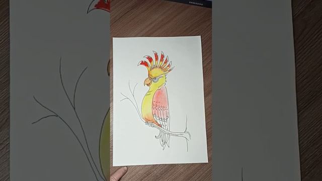 Как нарисовать попугая акварельными красками. смотреть онлайн