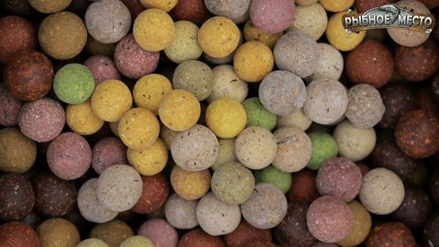 Ловля карпа в ноябре. Как поймать карпа поздней осенью. На что ловить карпа осенью? смотреть онлайн