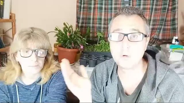 ПОКУПКА СТАРОГО ДОМА В СЕЛЕ: ПЛЮСЫ И МИНУСЫ. СТРИМ.