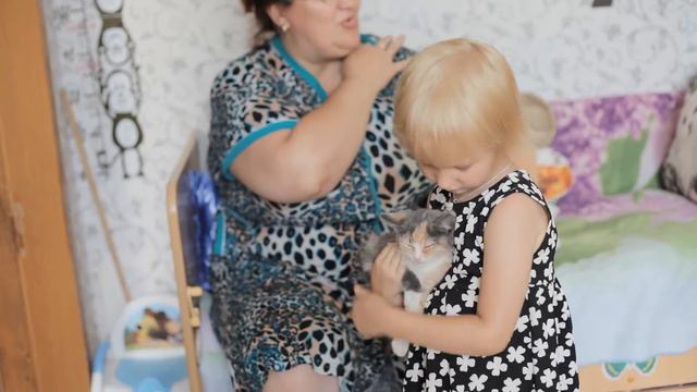 нашли котёнка на улице смотреть онлайн