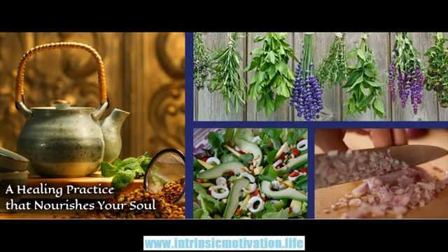 Nutritionist Online Programs - Alchemy Of Nourishment With Esther Cohen [Interview]