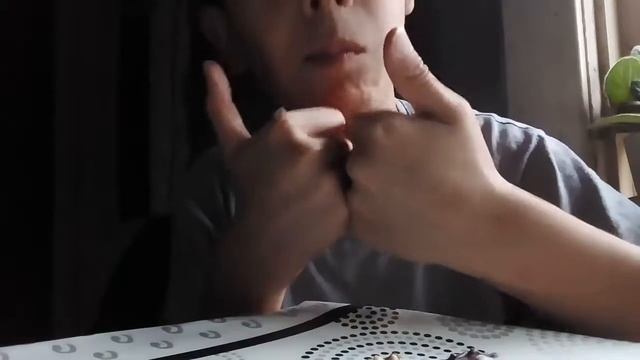 ASMR Mukbang Печенье с Шоколадом смотреть онлайн