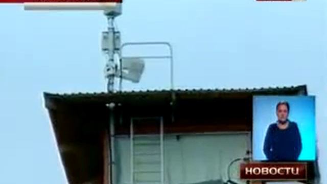 В реликтовом сосновом бору резервата «Семей Орманы» установили 10 видеокамер смотреть онлайн