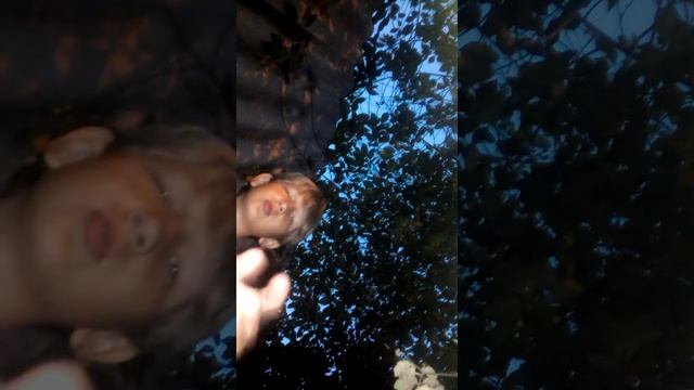 Тупо сижу перед камерой