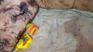 Vlog, день с Беби Борнами двойняшками.