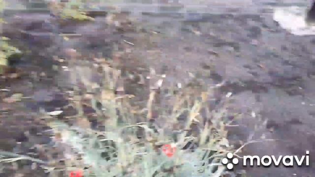 Перевожу Тыкву в Сарай//Вкусный Суп на Обед//Немного Лета в Вашу Осень//Поездка в другой район!!!