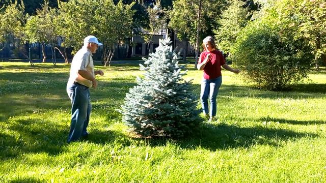 Харьков,танцы в саду, "И хочется и колется" смотреть онлайн