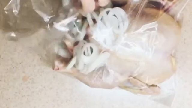 Курочка в духовке смотреть онлайн