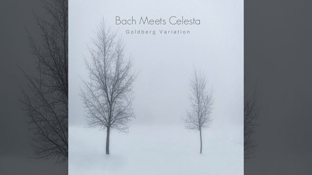 Goldberg Variation in G Major, Bwv 988: Variation 12 a 1 Clav. Canone alla Quarta in moto contrario смотреть онлайн