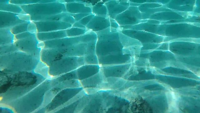 Вторая часть . Местная живность Красного Моря(3) смотреть онлайн