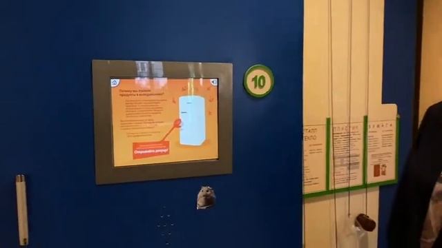 Онлайн-экскурсия по экоцентру "Воробьёвы горы" смотреть онлайн