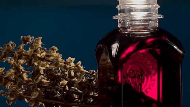 Свети Козма и Дамјан – глас 8. смотреть онлайн