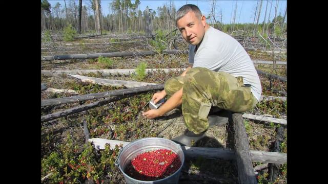 Один день в Саньеге смотреть онлайн