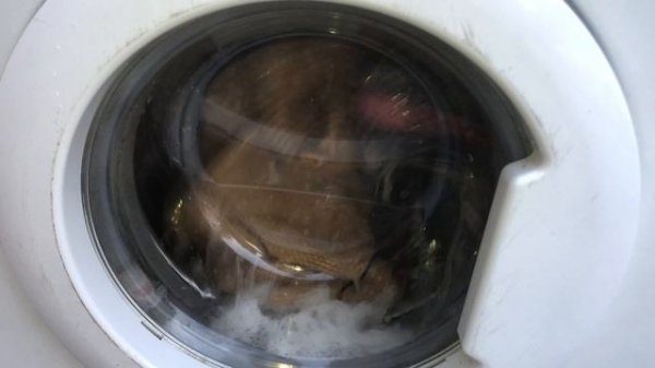 Стирка ковриков/Samsung F813J/Цветная ткань 60*,800 об/мин