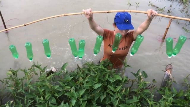 Smart Girl Build Fish Trap With Sheep Meat Catch River Monsters - Catch Big Fish For Survival
