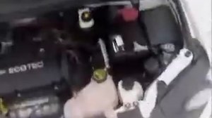 Система Охлаждения Авео т-300. Cooling System Aveo T-300.