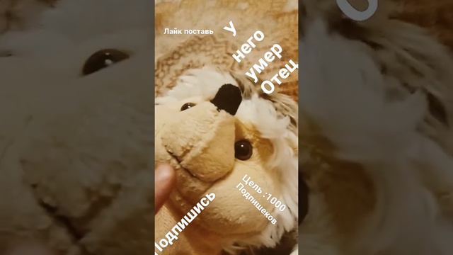 17 марта 2022 г. смотреть онлайн