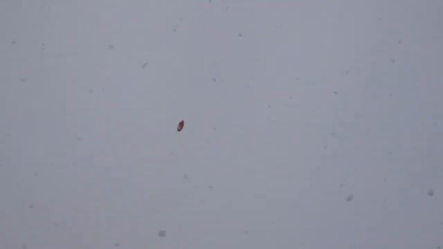 Любовь живет вечно ☀ Manokhina Nastya смотреть онлайн