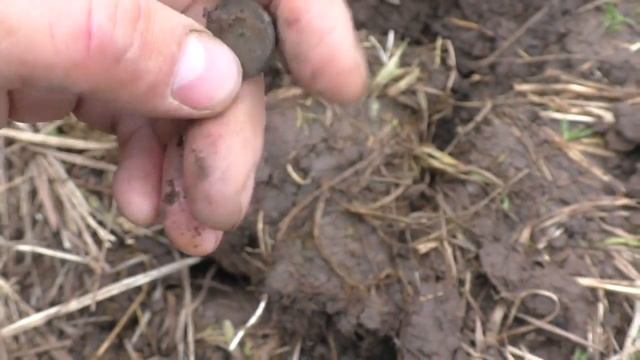 Удача - дело случая, или результат нашего выбора. Дмитрий Мусихин. смотреть онлайн