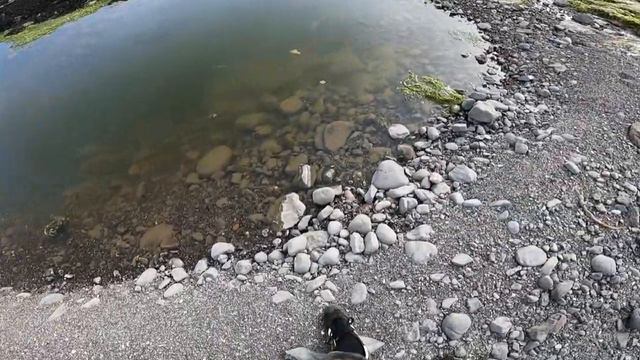 ABANDONED History Hidden in WILD Landscape - SCOTLAND смотреть онлайн