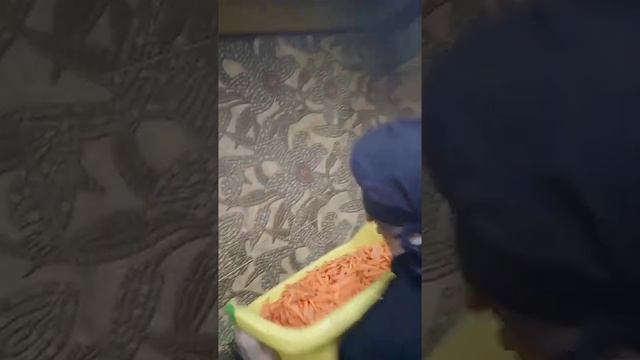 Приготовление вкуснейшего ПЛОВА в казане на 250 литров! смотреть онлайн