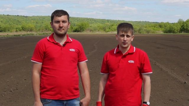 Технология возделывания картофеля DuPont. 1 серия