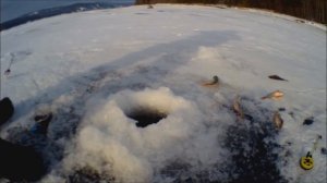 Красноярское море, залив Кривляк. Второй день.