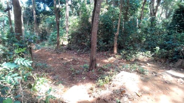 Free Practice All Jepara Downhill Riders - Wildan in Rockgarden смотреть онлайн