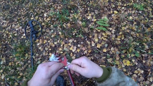 с интроником в лесу смотреть онлайн