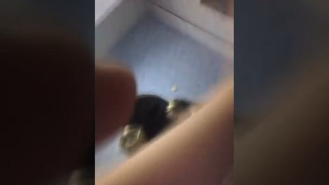 Мы лудшие подруги Соник Бум(1) смотреть онлайн