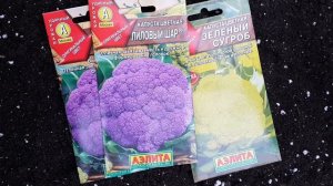 Удивительные сорта цветной капусты, которую будем сажать в следующем году