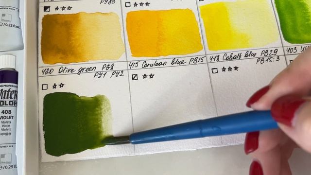 ОБЗОР акварели ShinHan Professional. Плюсы и минусы. Вечный вопрос - PWC или Professional?