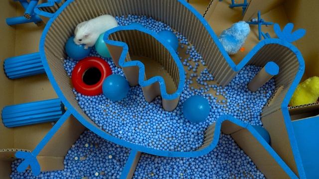 ? Hamster Maze Garden Of BanBan Challenges | Open The Secret Mysterious Box Garten Of BANBAN! смотреть онлайн