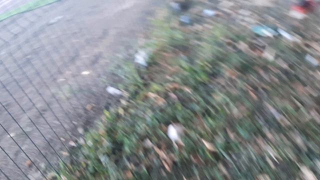 мы пробрался на границу школы😱💥😁