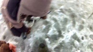 Самодельная зимняя блесна Гвоздик