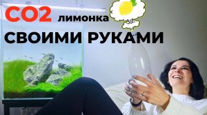 Как сделать систему СО2 своими руками. Подробная инструкция.