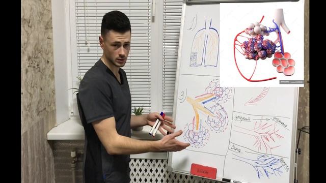Зачем нам легкие? смотреть онлайн